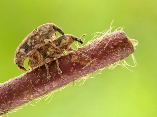 Uvolněte se a zažijte něco úžasného – Erotická masáž je určená pro každého, co si z ní odnesete?